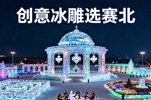 国内冰雕制作公司哪家好？赛北冰雕5大选择标准解析