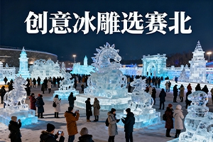 冰雕展门票多少钱？赛北冰雕为您专业解析