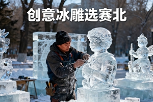 冰雕展价格解析：赛北冰雕为您揭秘成本构成